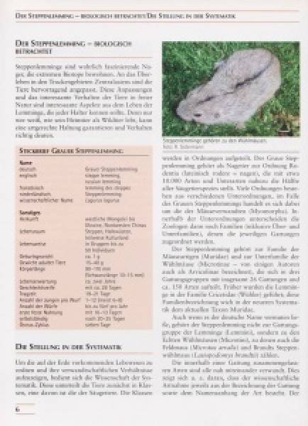 Preview: Steppenlemminge und andere Wühlmäuse